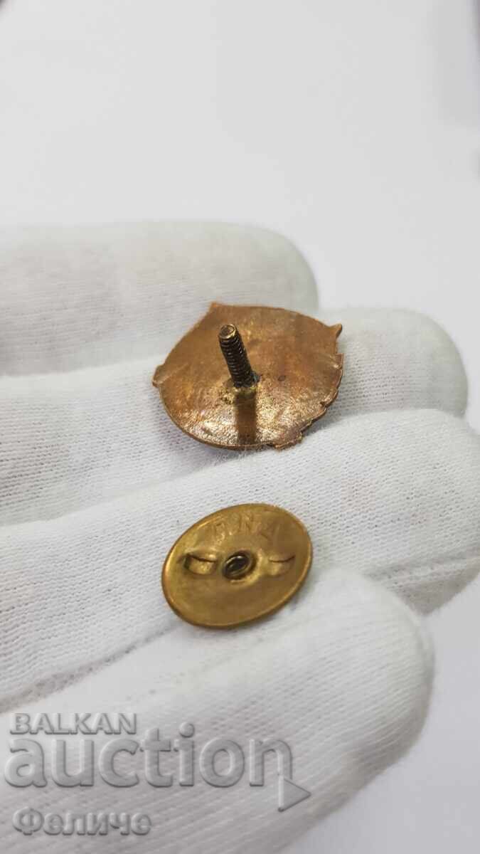 Σπάνιο σοσιαλιστικό σήμα, κονκάρδα ΑΒΙΟΜΟΝΤΕΛΙΣΤ ΔΟΣΟ - 5