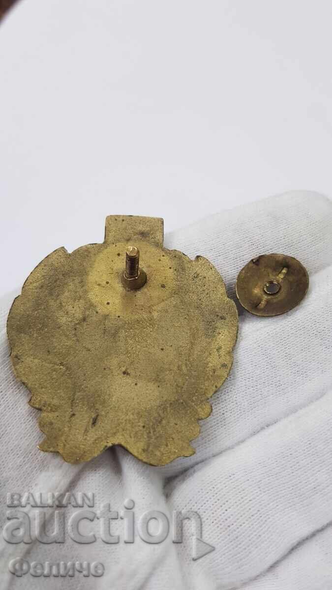 Semn socialistic rar timpuriu Arbitru de înot III grad 1950 - 5