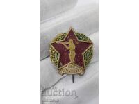 Ранен рядък знак, значка Отличник - Стрелба 1950 г. Стрелец