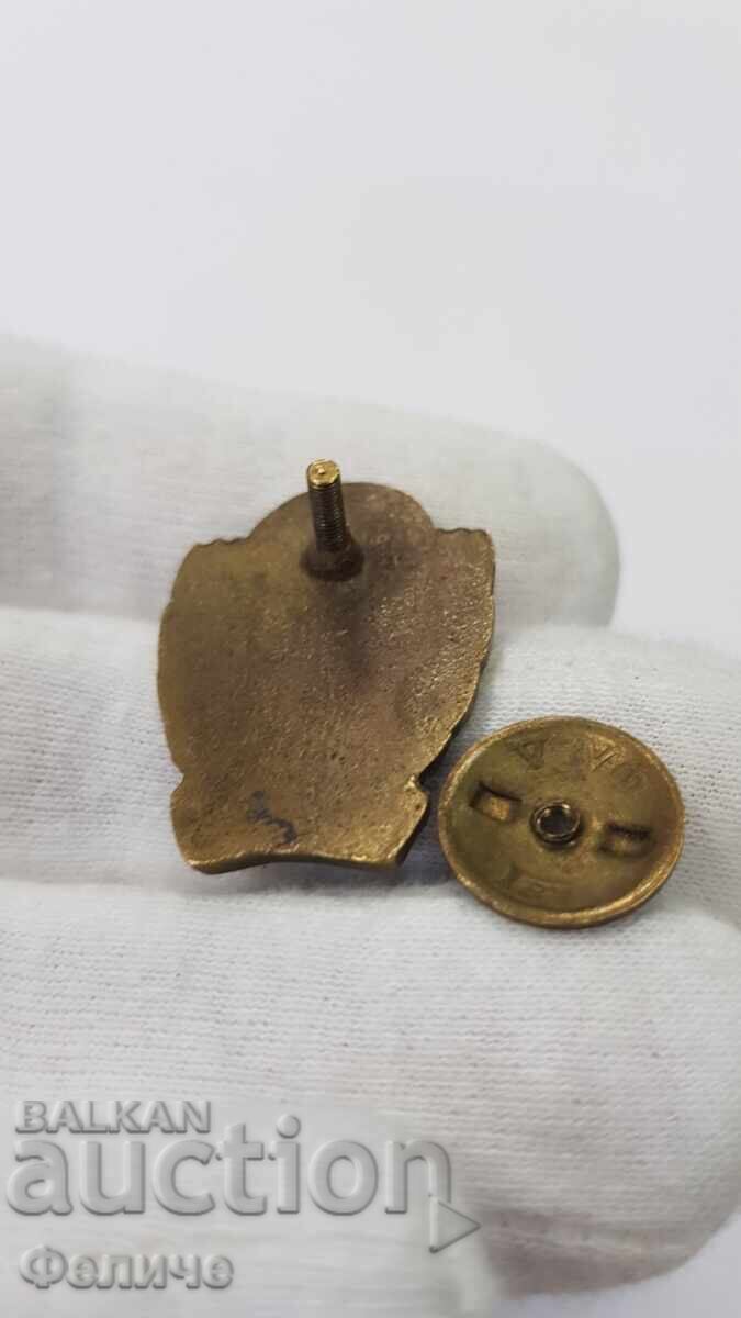 Δημοπρασία Σπάνιο σήμα πρώιμης σειράς Μπάσκετ Ι.Β. Στάλιν 1879 - 1949