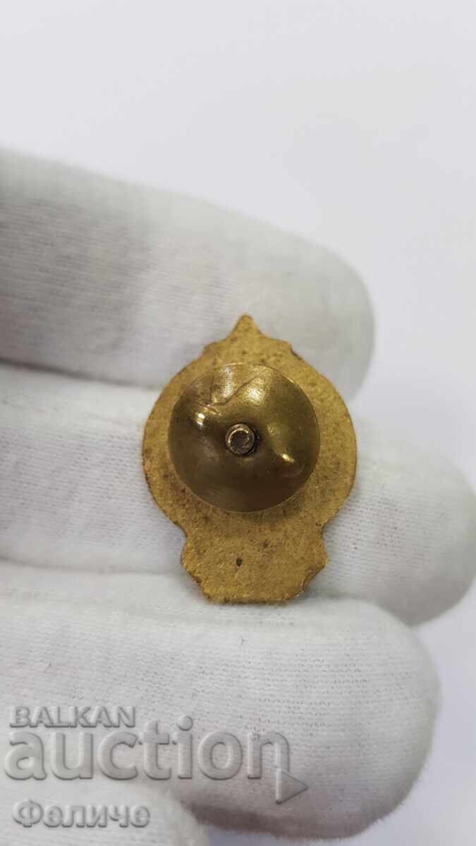 Semn rar timpuriu 5-lea Congres al PCR 1948 C.C.V cu preț 170.00 BGN | € 86.92