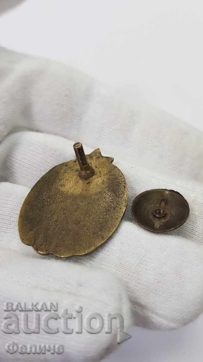 Delivery of Rare Early Sign Republican Championship Volleyball 1949