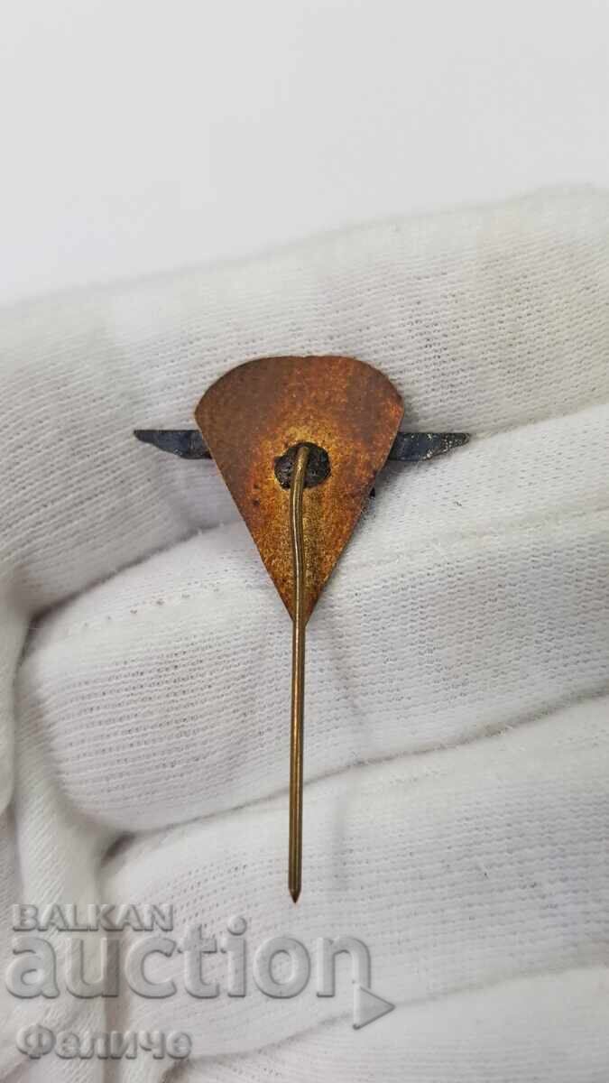 Auction  Rare early badge, Paratrooper badge, parachute 1960