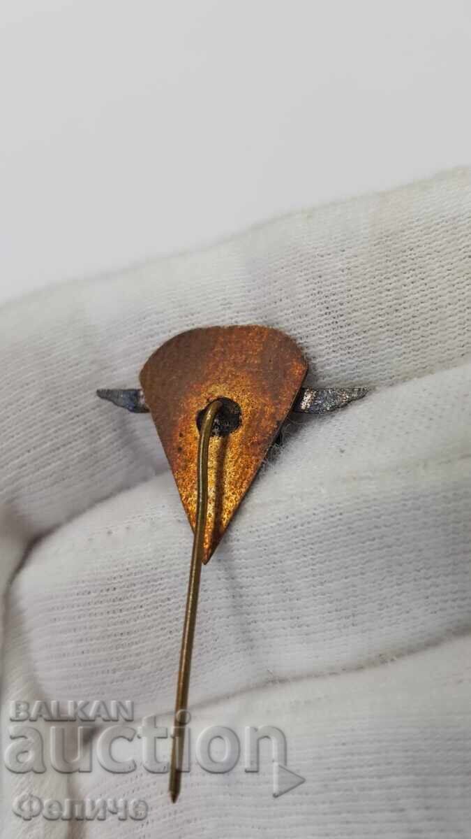 Delivery of Rare early badge, Paratrooper badge, parachute 1960