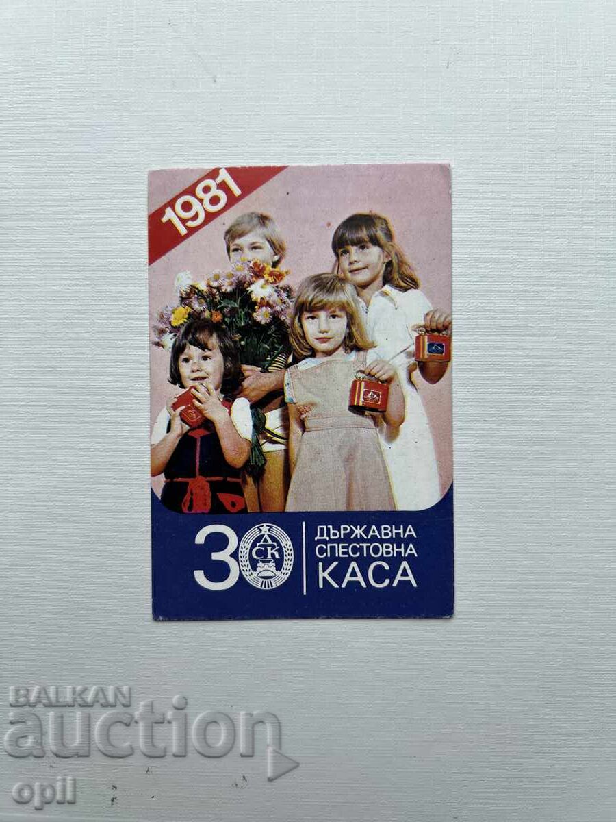 DSK Calendar 1981