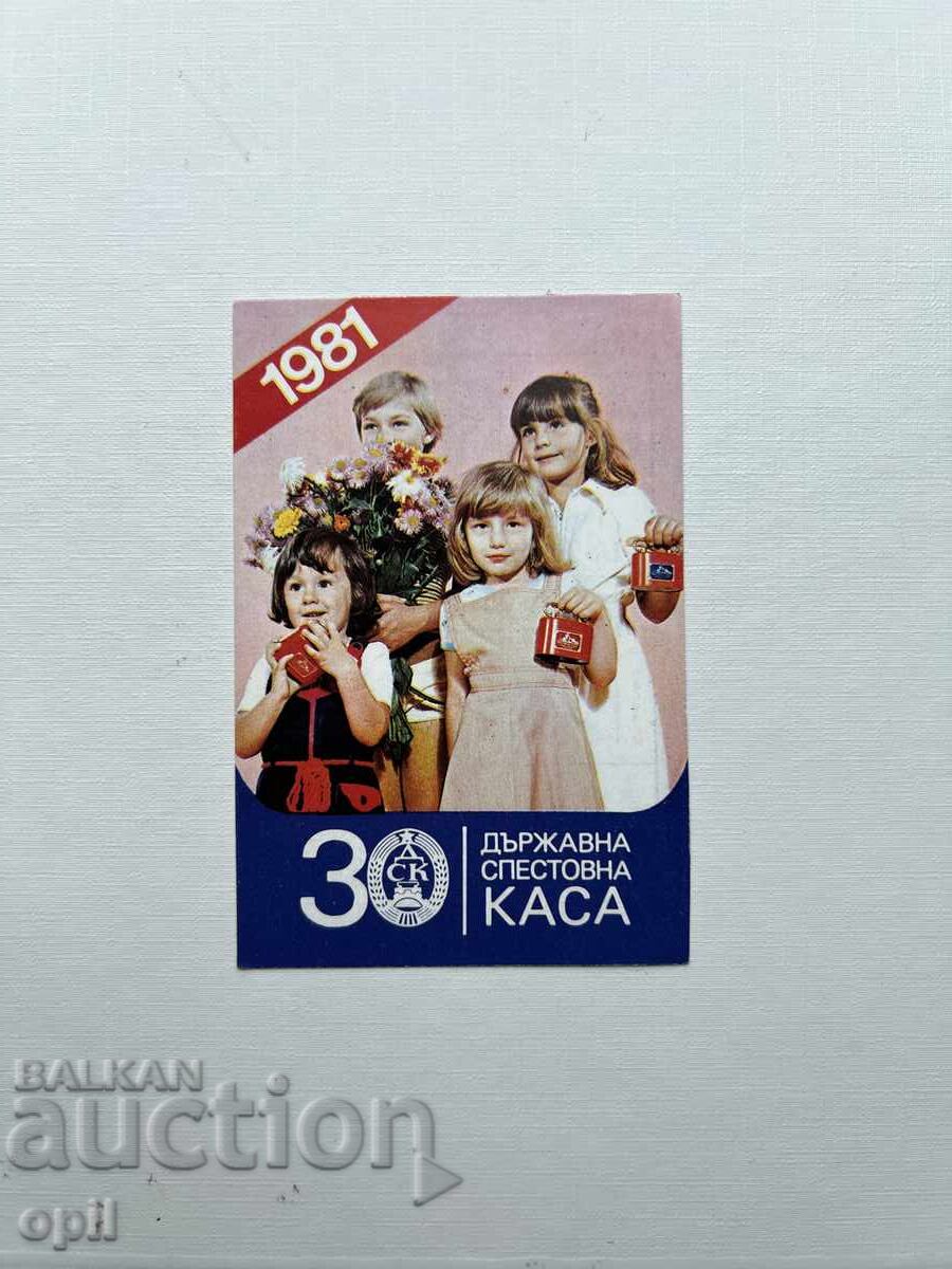 DSK Calendar 1981