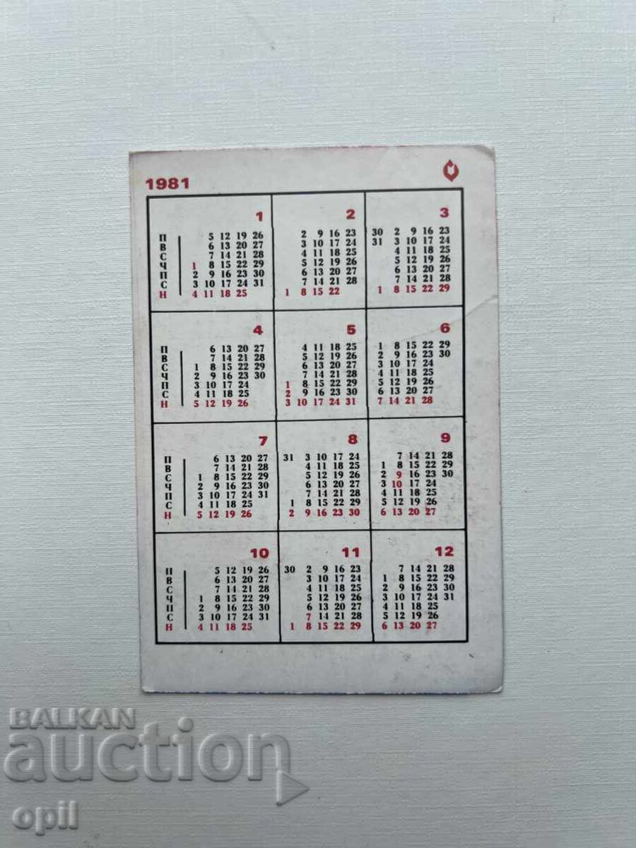 Ημερολόγιο DSK 1981 με τιμή 0.80 BGN | € 0.41