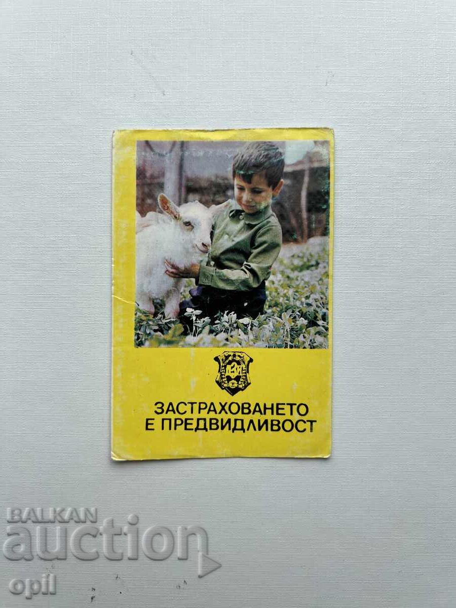 DZI Calendar 1981 DZI Calendar 1981