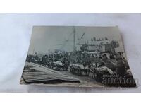 P. K. Humanitarian Action for the Population Affected by the Drought 1921