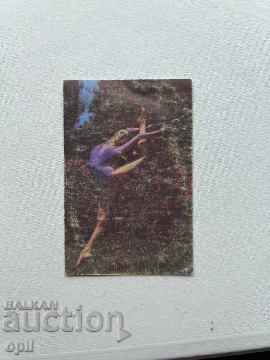 Sport Toto Calendar 1982