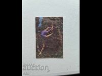 Ημερολόγιο Σπορ Τότο 1982