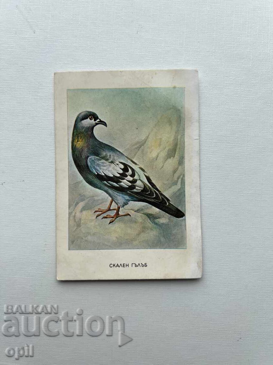 Calendar 1983 Calendar 1983