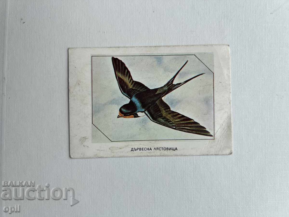 Ημερολόγιο 1983