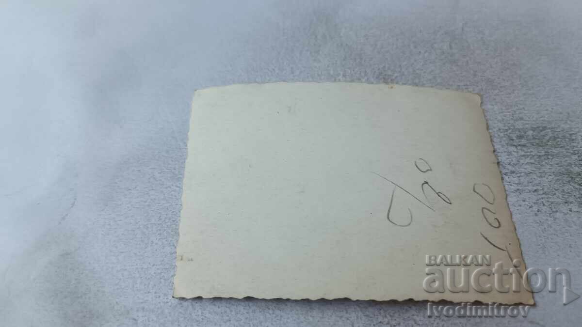 Φωτογραφία Νέων και κοριτσιών με δύο καμήλες στην παραλία με τιμή 1.85 BGN | € 0.95