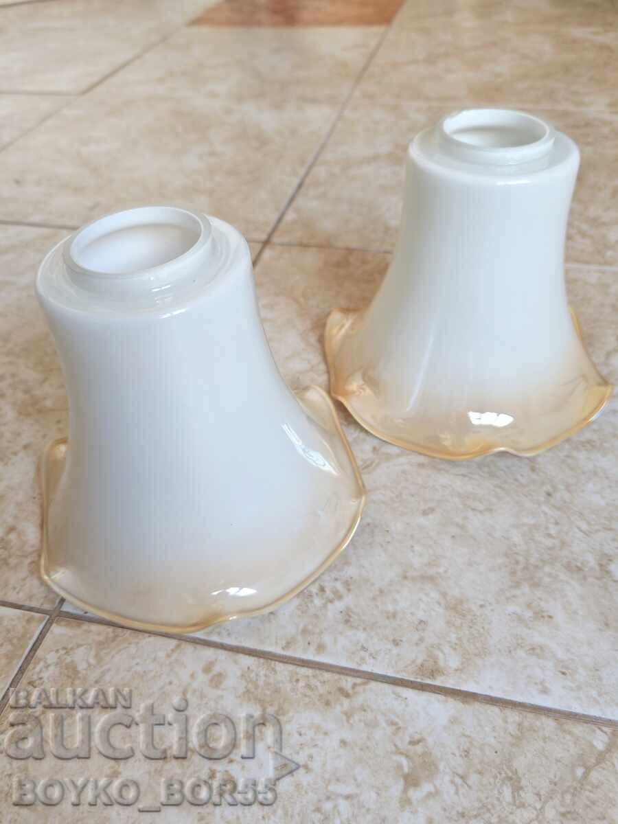 Two Antique Glass Lamp and Chandelier Shades