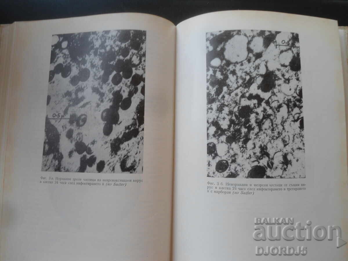 Delivery of News in pharmacology and pharmacotherapy