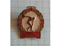 Insigna - Garda Populară VSK Ministerul de Interne