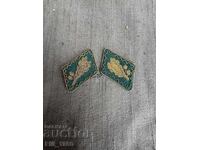 Senior Forest Ranger Collar Tabs