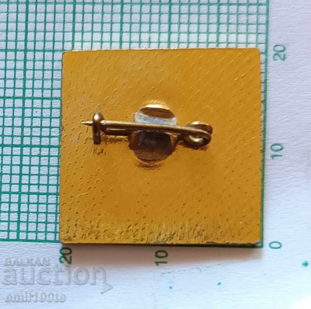 Delivery of Badge - CSKA for WWII