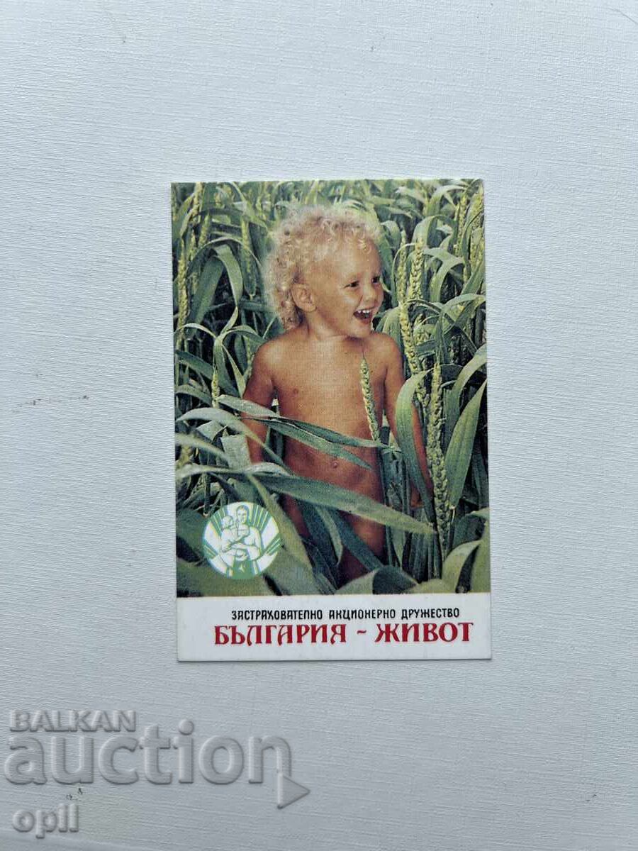 Calendar Bulgaria - Viața 1994 Calendar Bulgaria - Viața 1994