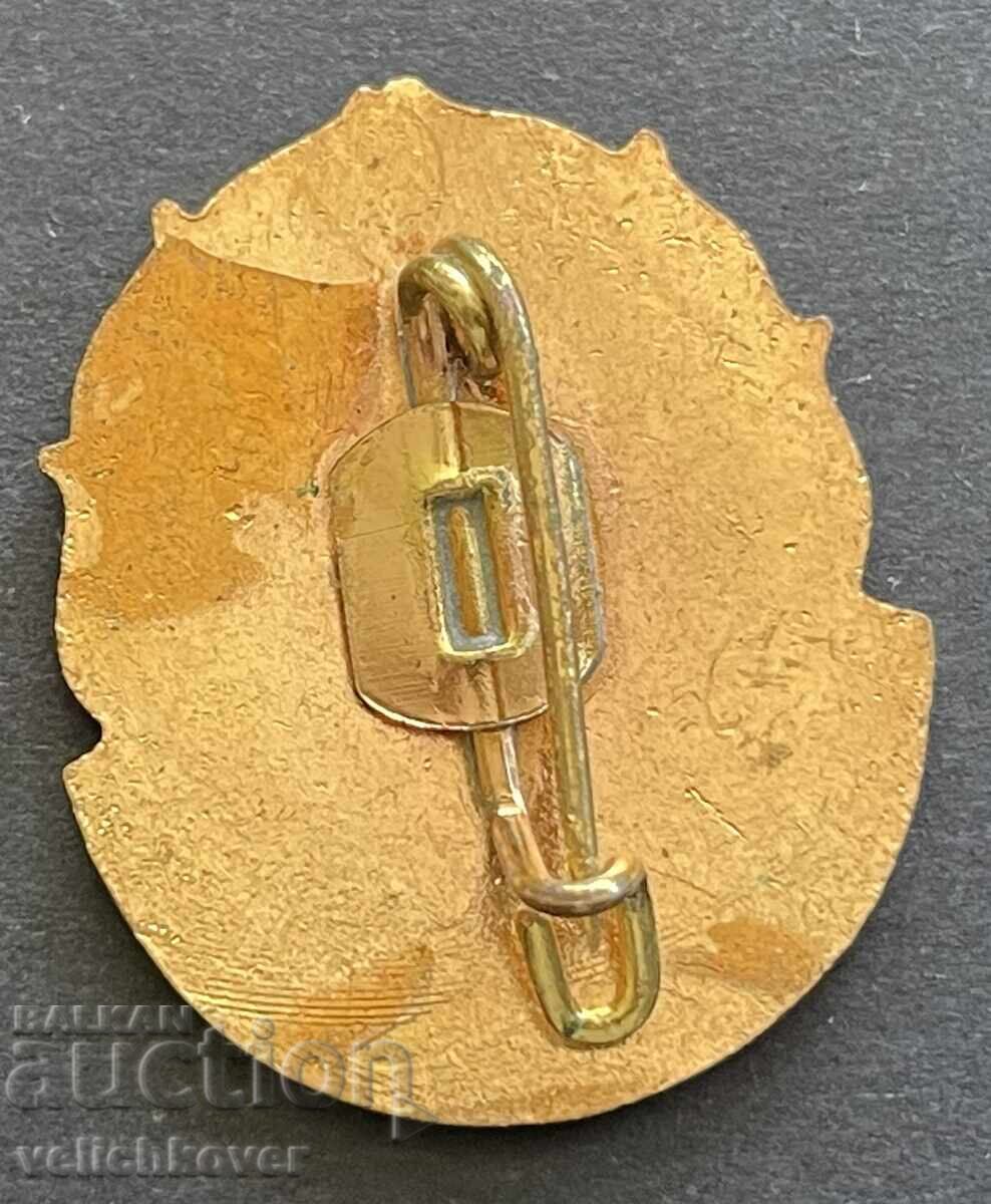 41656 Ρουμανία σήμα Ρουμανικός Ερυθρός Σταυρός σμάλτο 60's με τιμή 7.00 BGN | € 3.58