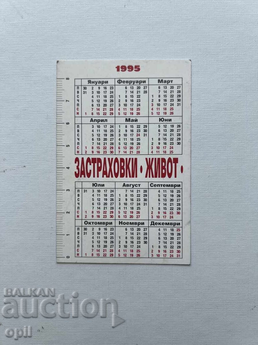 Календарче  ДЗИ  1995 с цена 0.80 лв. | € 0.41