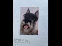 Календарче БПБ 1999