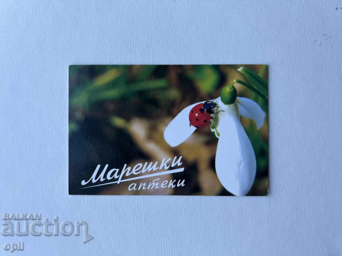 Mareski Calendar 2009