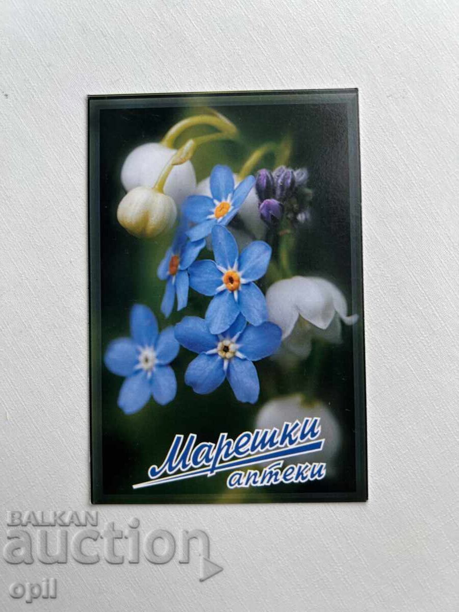 Ημερολόγιο Μαρέσκι 2009