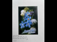 Mareski Calendar 2009