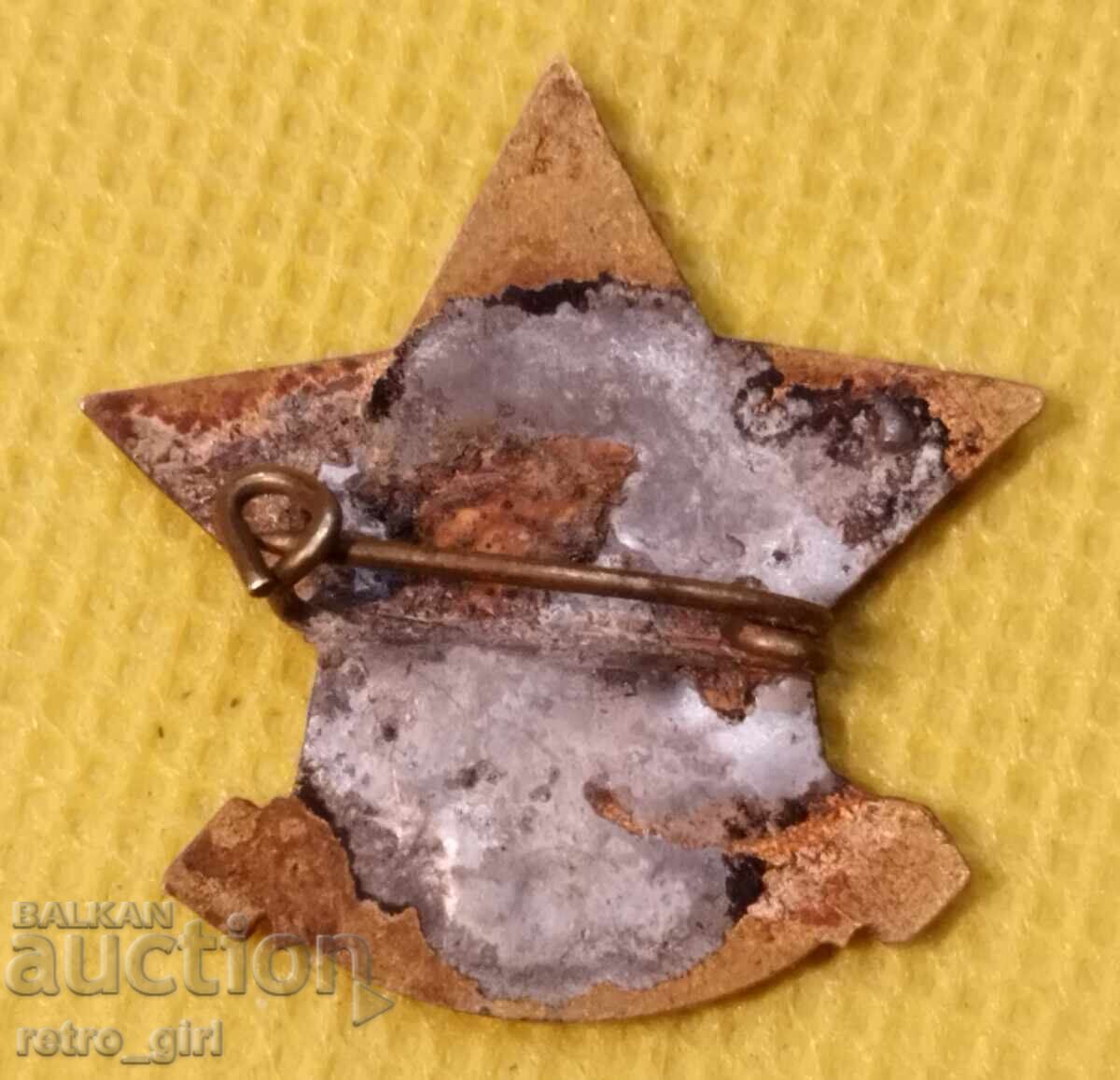 Emblemă piept Bulgaria. Bronz, email cu preț 14.90 BGN | € 7.62