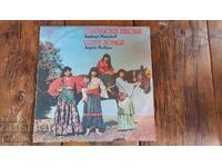 LARGE VINYL RECORD OF ROMANI SONGS
