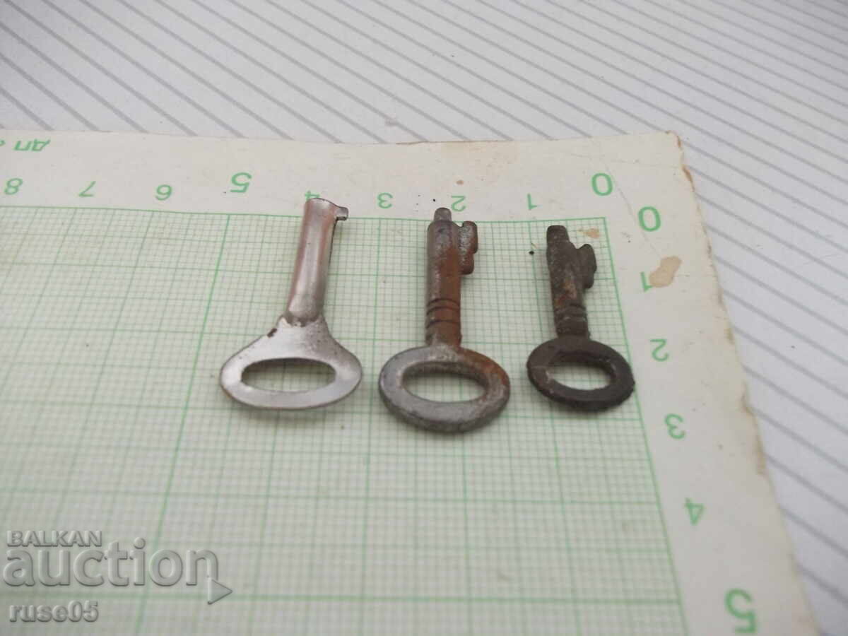 Livrarea Lot de 3 buc. chei pentru lacăte