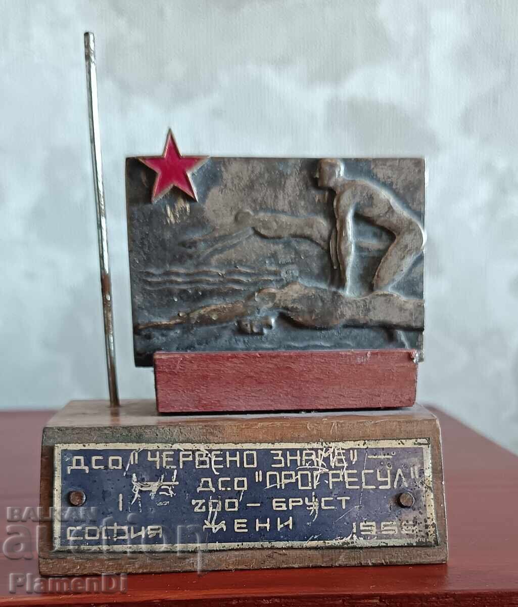 Old DSO "Red Flag" Plaque - 7