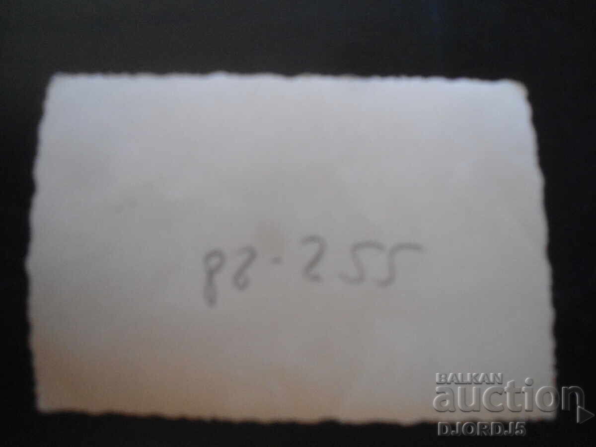 old photo with price 1.00 BGN | € 0.51