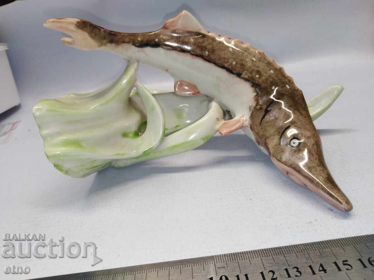 ΕΣΣΔ ΠΟΡΣΕΛΑΝΙΝΗ - ΨΑΡΙ, ΟΞΥΡΥΓΧΟΣ - 7