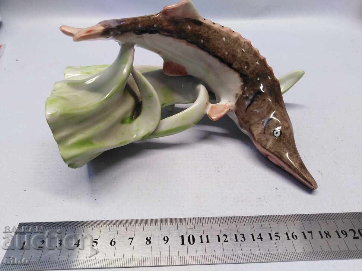 ΕΣΣΔ ΠΟΡΣΕΛΑΝΙΝΗ - ΨΑΡΙ, ΟΞΥΡΥΓΧΟΣ