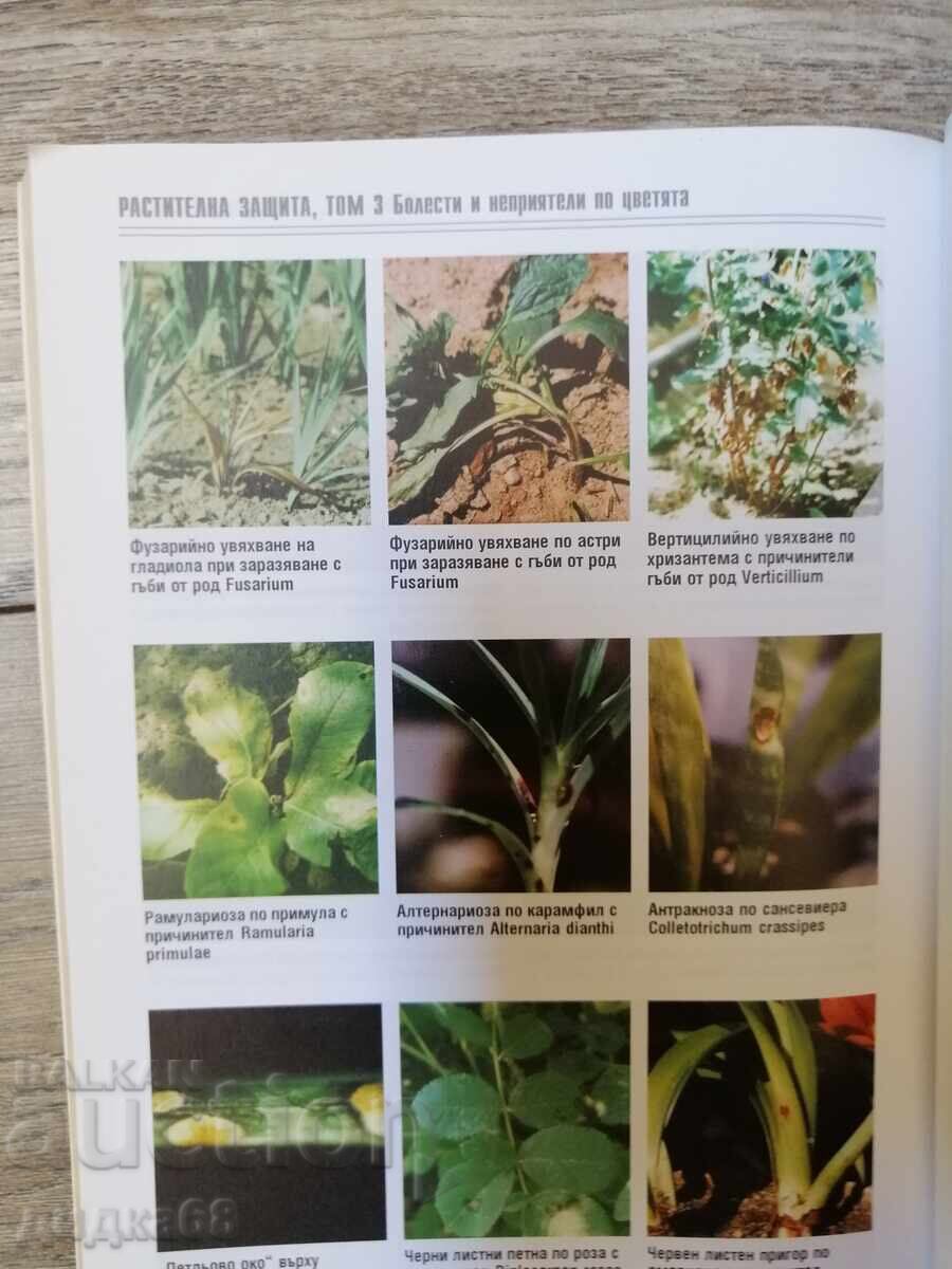 Diseases and Pests of Perennial Plantings and Flowers: Volumes 1-3 with price 20.00 BGN | € 10.23