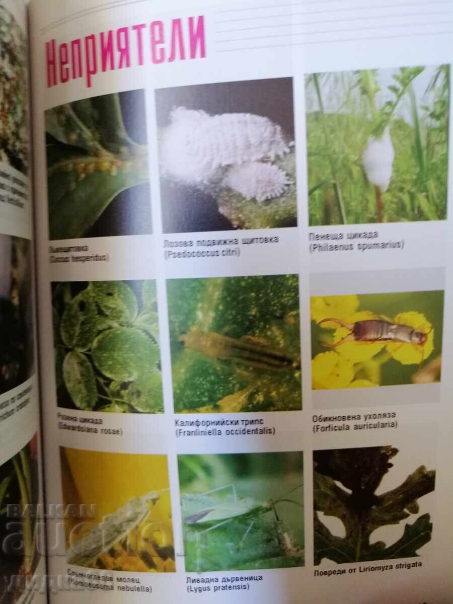 Auction  Diseases and Pests of Perennial Plantings and Flowers: Volumes 1-3