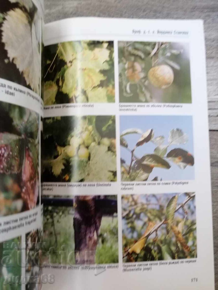 Diseases and Pests of Perennial Plantings and Flowers: Volumes 1-3 - 7
