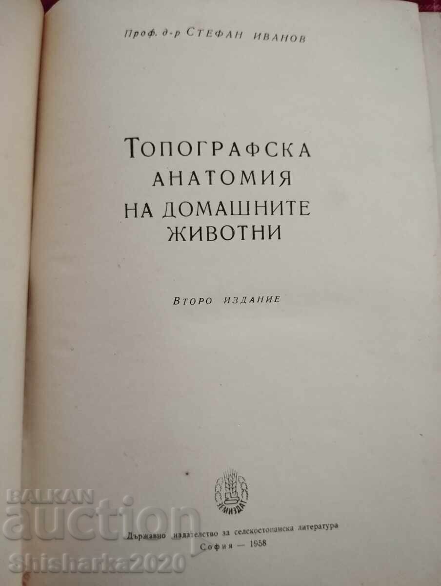 Τοπογραφική ανατομία των οικόσιτων ζώων με τιμή 30.00 BGN | € 15.34 Τοπογραφική ανατομία των οικόσιτων ζώων με τιμή 30.00 BGN | € 15.34
