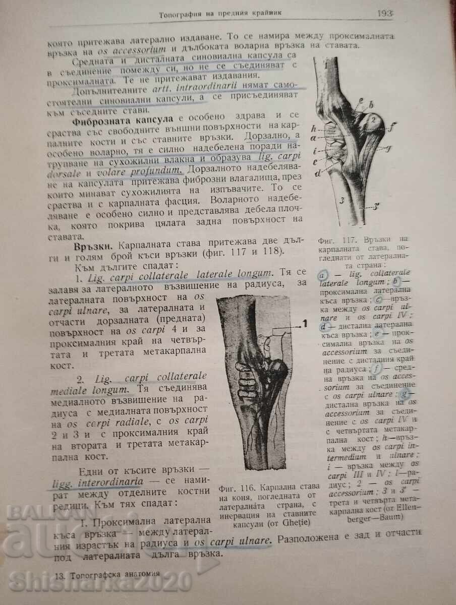 Δημοπρασία Τοπογραφική ανατομία των οικόσιτων ζώων Δημοπρασία Τοπογραφική ανατομία των οικόσιτων ζώων