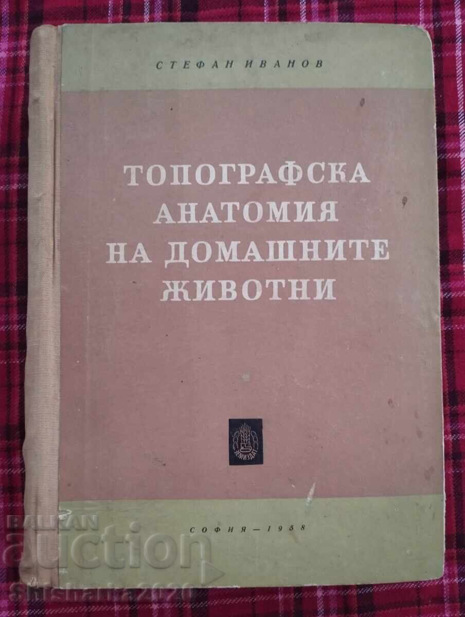 Τοπογραφική ανατομία των οικόσιτων ζώων Τοπογραφική ανατομία των οικόσιτων ζώων