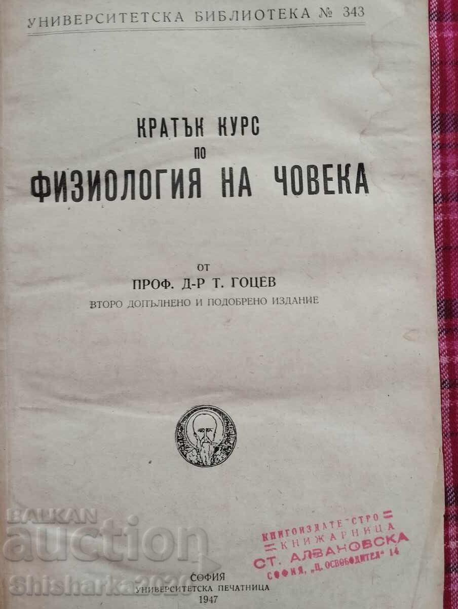 Δημοπρασία Ένα σύντομο μάθημα στη φυσιολογία του ανθρώπου