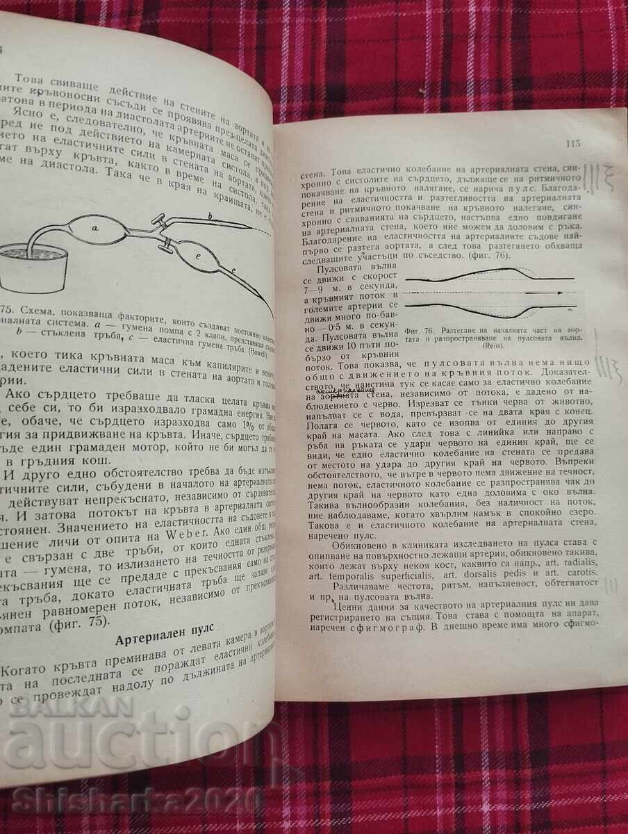 Παράδοση Ένα σύντομο μάθημα στη φυσιολογία του ανθρώπου