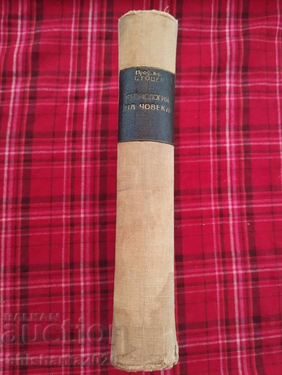 Ένα σύντομο μάθημα στη φυσιολογία του ανθρώπου