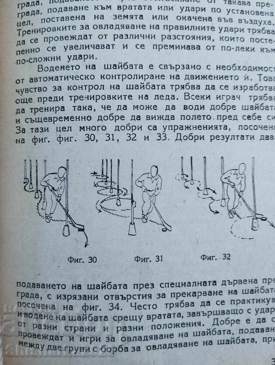 Δημοπρασία Οδηγός για χόκεϊ επί πάγου