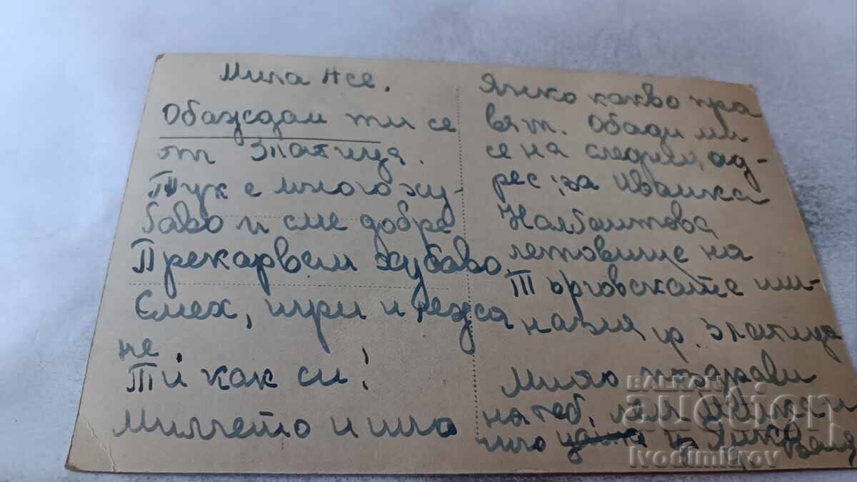 Π Κ Ζλατίτσα Η Αποικία του Εμπορικού Γυμνασίου της Σόφιας με τιμή 6.45 BGN | € 3.30 Π Κ Ζλατίτσα Η Αποικία του Εμπορικού Γυμνασίου της Σόφιας με τιμή 6.45 BGN | € 3.30