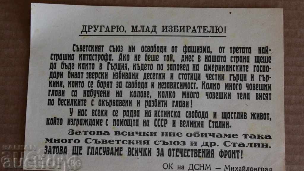 1949 "DRAGĂ TINERE VOTANT" AFIS ELECTORAL ALEGERI