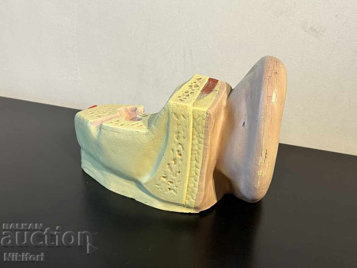 Social Anatomical Model of the Human Ear - 5